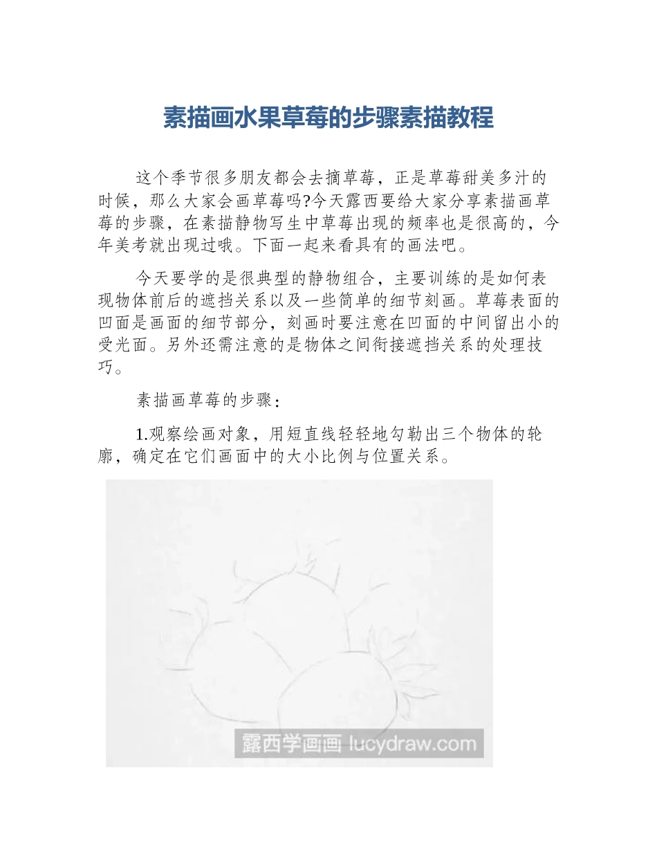 素描画水果草莓的步骤素描教程_第1页
