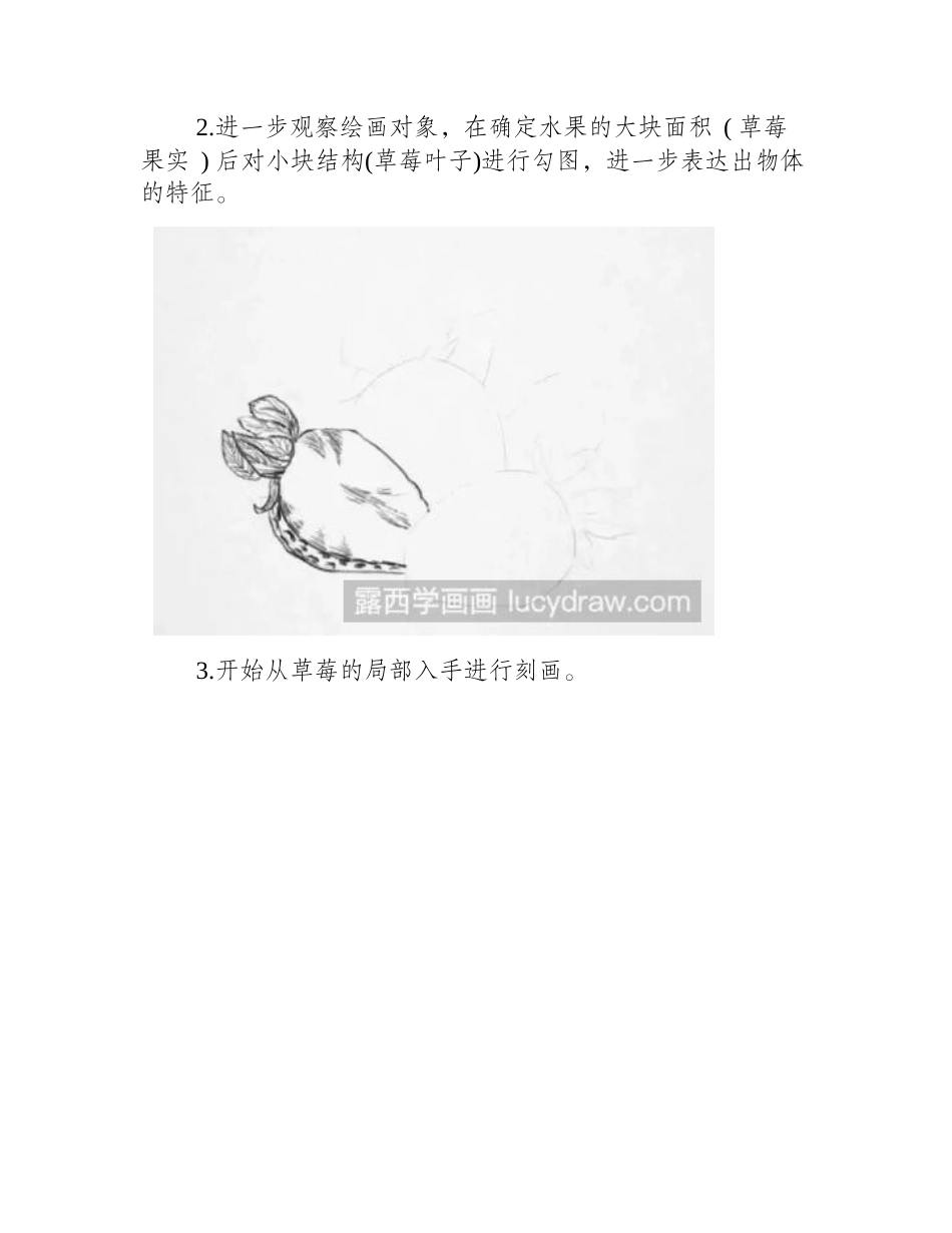 素描画水果草莓的步骤素描教程_第2页
