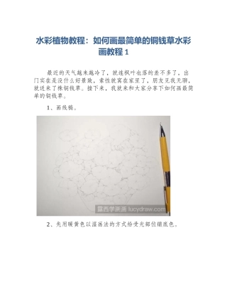 水彩植物教程：如何画最简单的铜钱草水彩画教程1