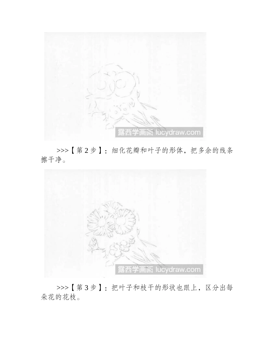 速写雏菊怎么画速写教程_第2页