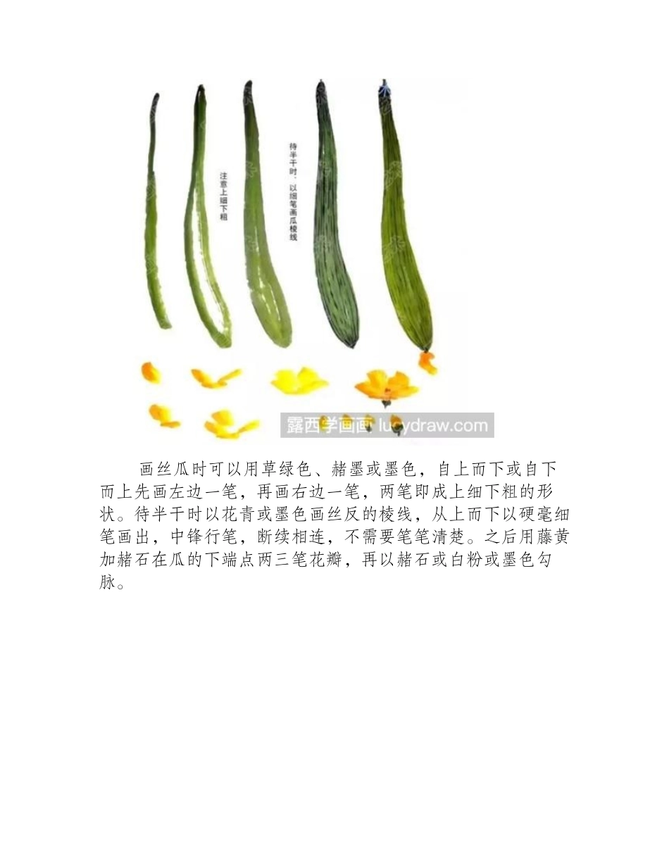 丝瓜的国画画法是什么_教你画碧蔓瓜香国画教程1_第2页