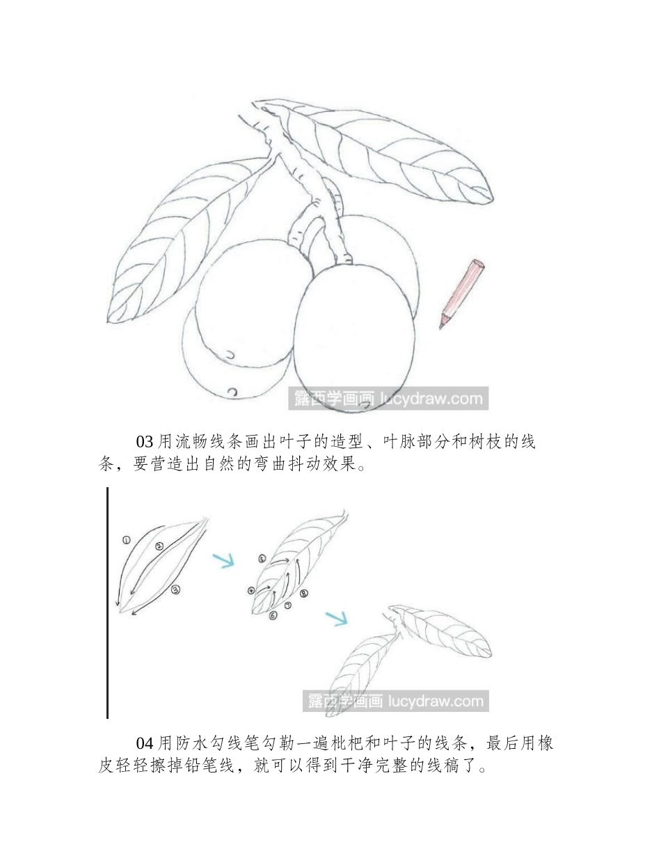 水彩画教程：怎么画枇杷水彩画教程_第2页