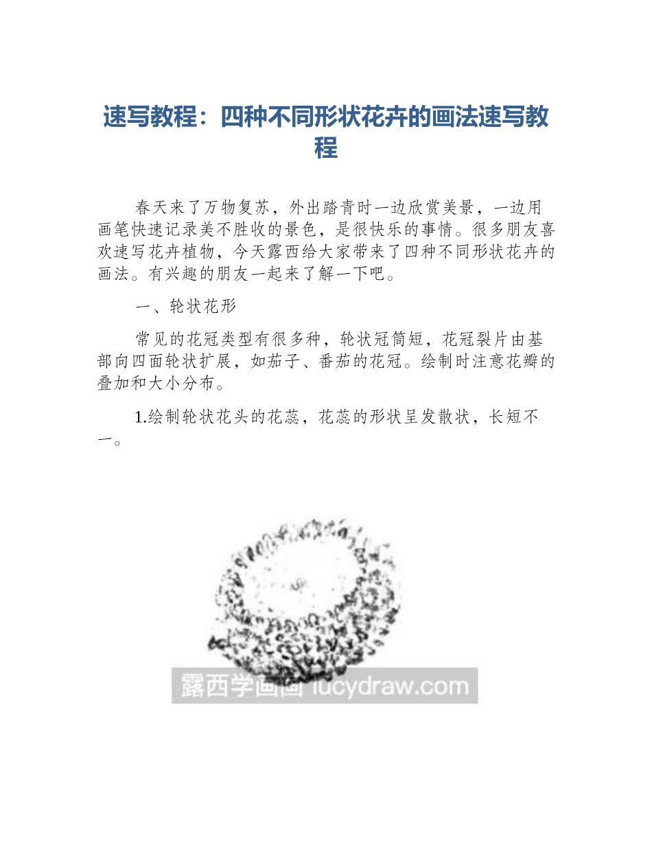 速写教程：四种不同形状花卉的画法速写教程_第1页