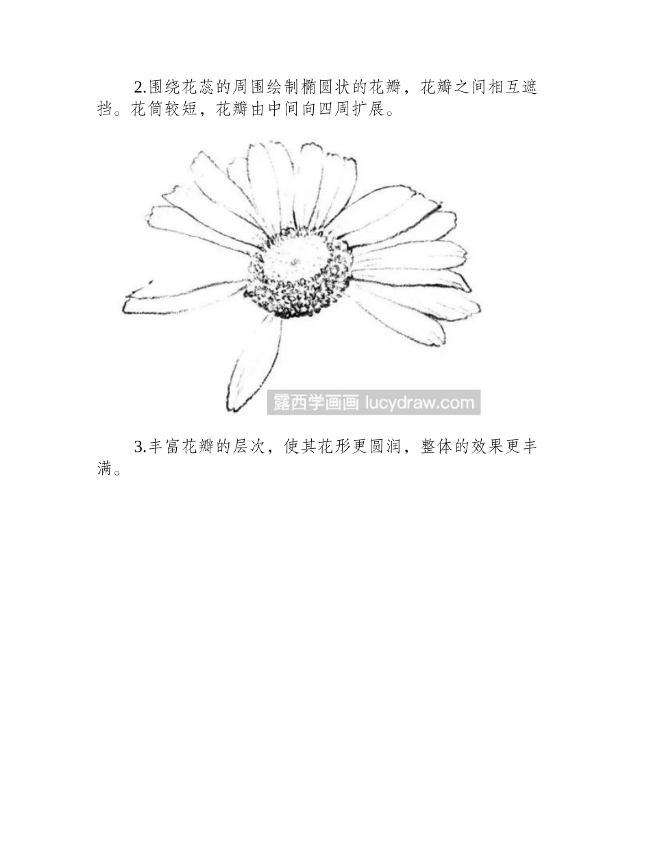 速写教程：四种不同形状花卉的画法速写教程_第2页