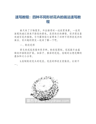 速写教程：四种不同形状花卉的画法速写教程