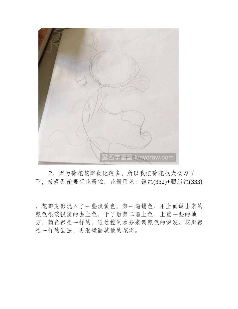 水彩画教程：盛放中的荷花水彩画教程_第2页