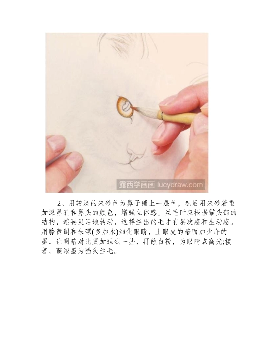 如何画工笔猫工笔画教程_第2页