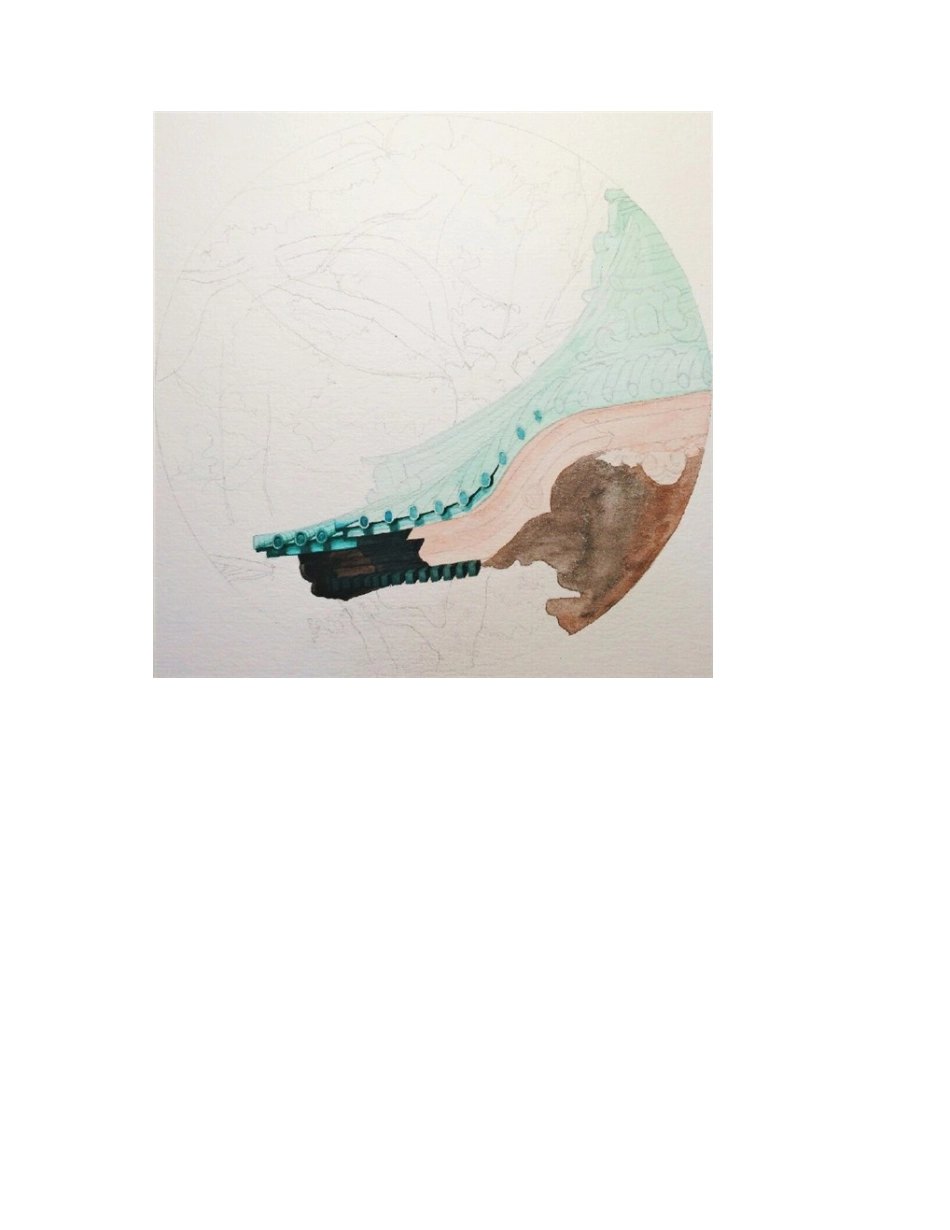 水彩画教程：樱花水彩画水彩画教程_第2页