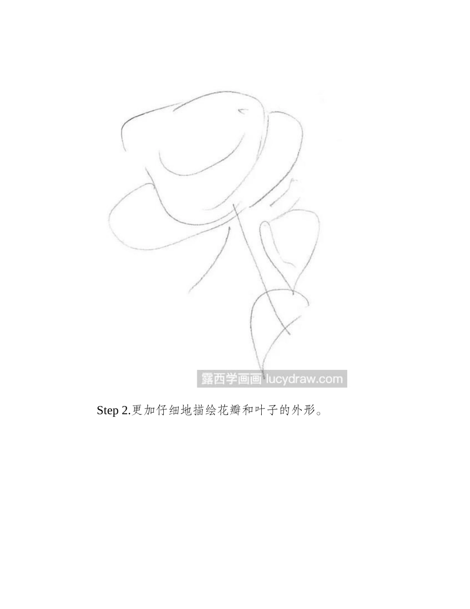 素描玫瑰花的画法素描教程_第2页