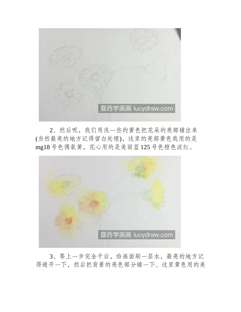 鲜花怎么画_如何搭配色彩_水彩画教程_第2页