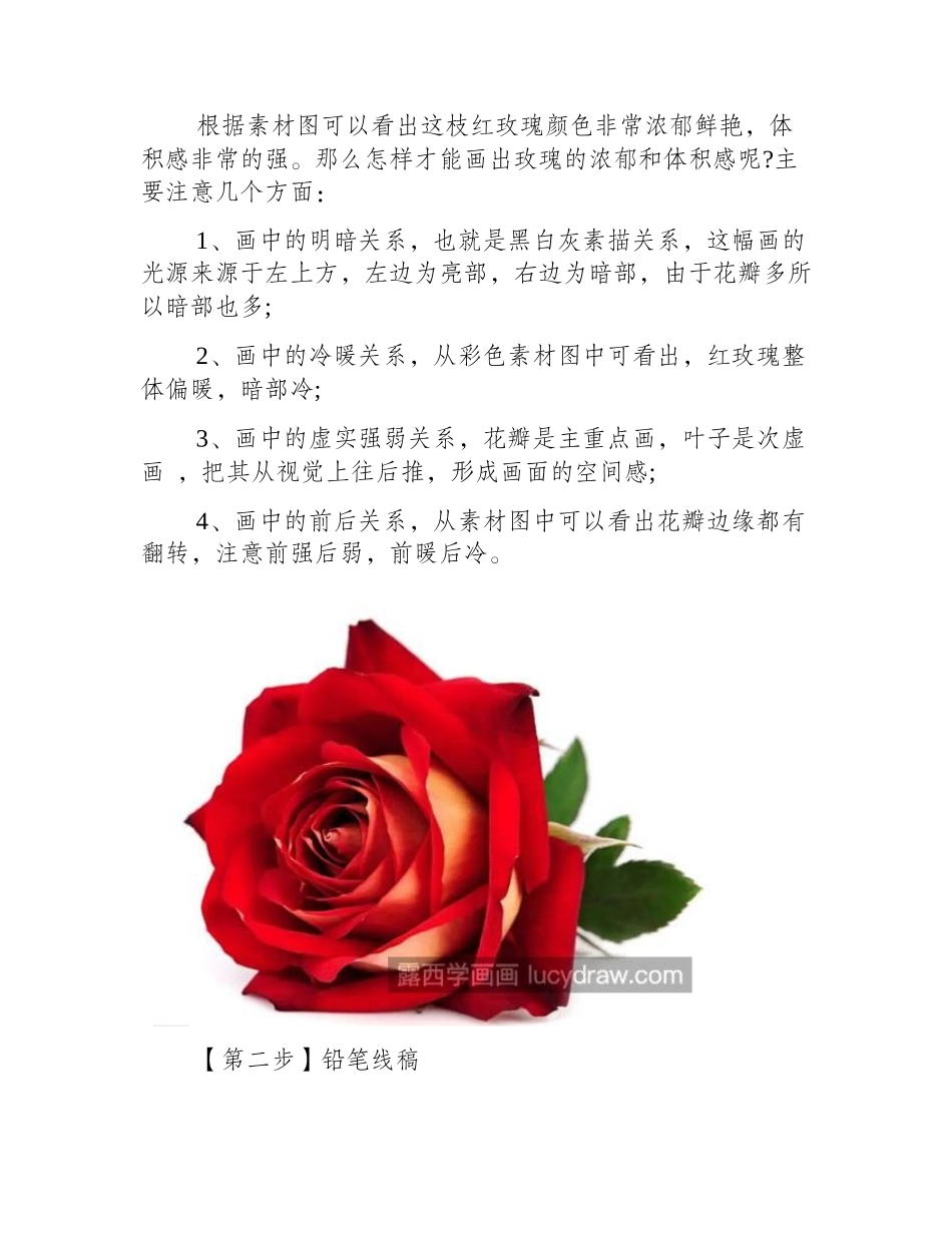 水彩玫瑰怎么画_红玫瑰的水彩步骤有哪些_水彩画教程_第2页