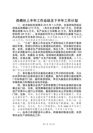 供销社上半年工作总结及下半年工作计划_1