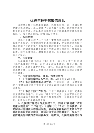 优秀年轻干部锻炼意见