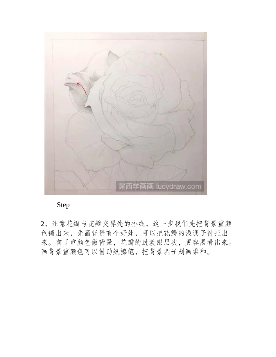 素描玫瑰画法素描教程1_第2页