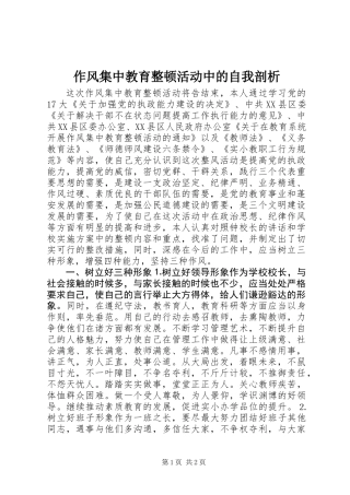 作风集中教育整顿活动中的自我剖析