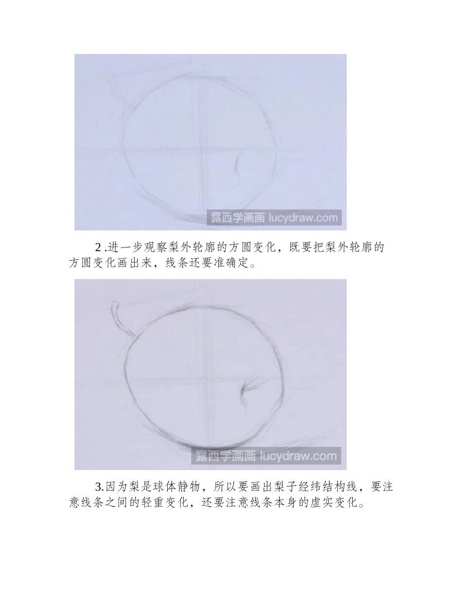 素描单个梨子的画法教程素描教程1_第2页
