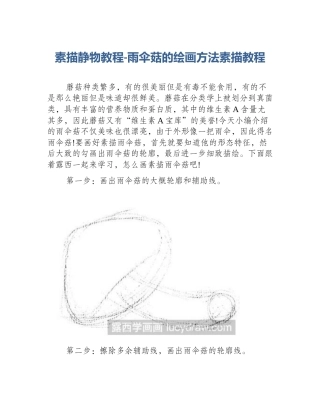 素描静物教程-雨伞菇的绘画方法素描教程