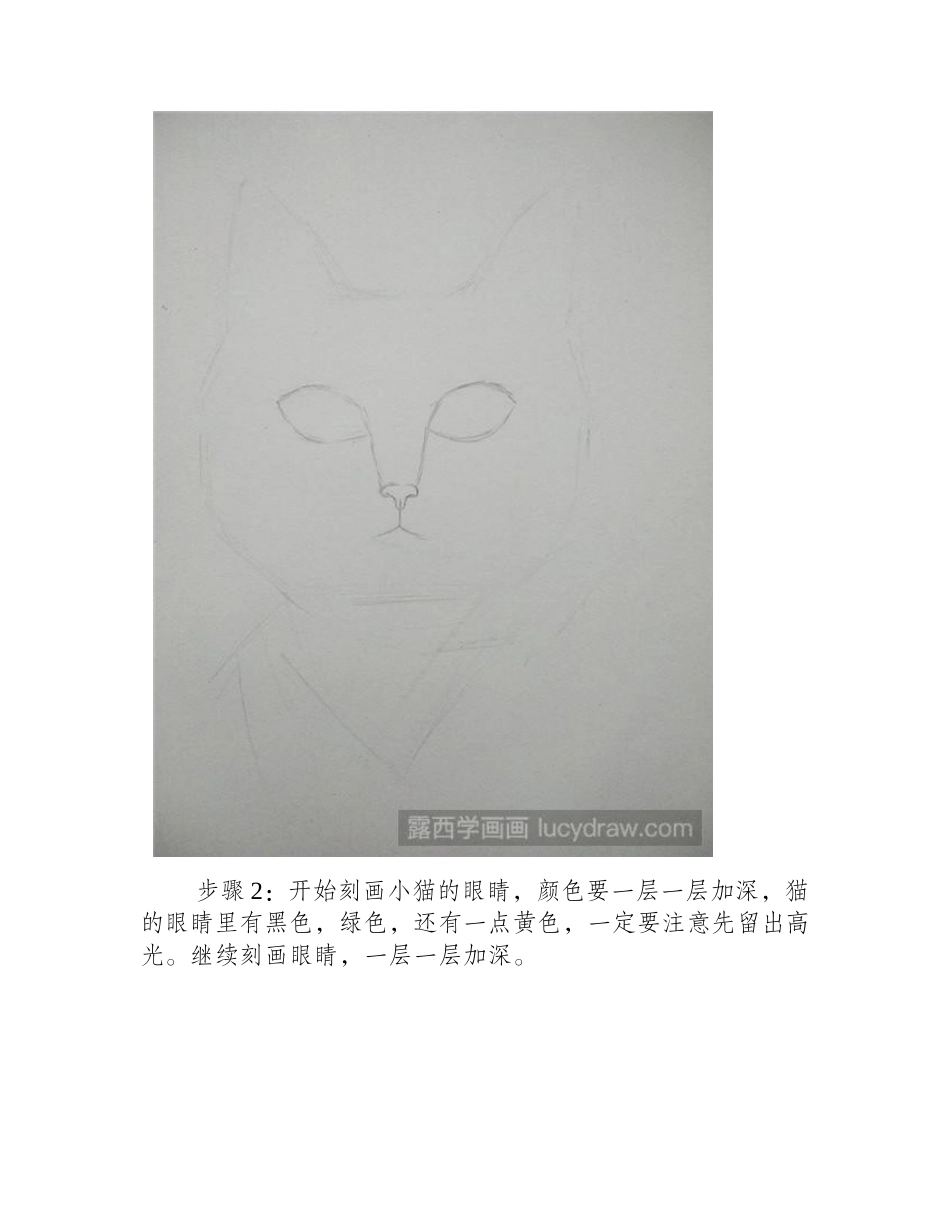 帅猫咪彩铅画教程彩铅画教程_第2页