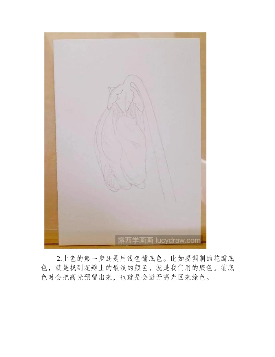 仙客来水彩画教程水彩画教程_第2页