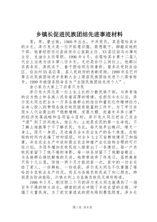 乡镇长促进民族团结先进事迹材料