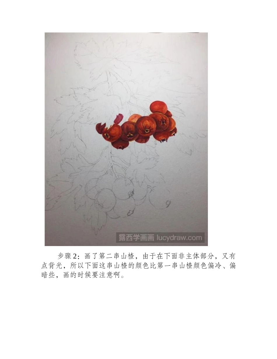 山楂水彩画教程水彩画教程_第2页