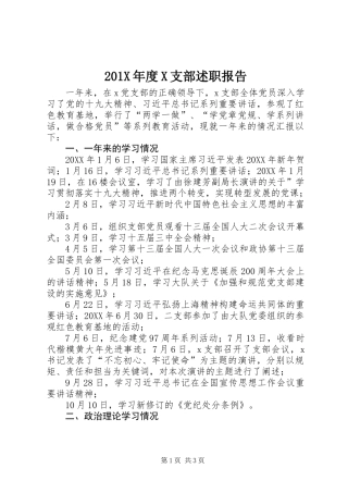 201X年度X支部述职报告