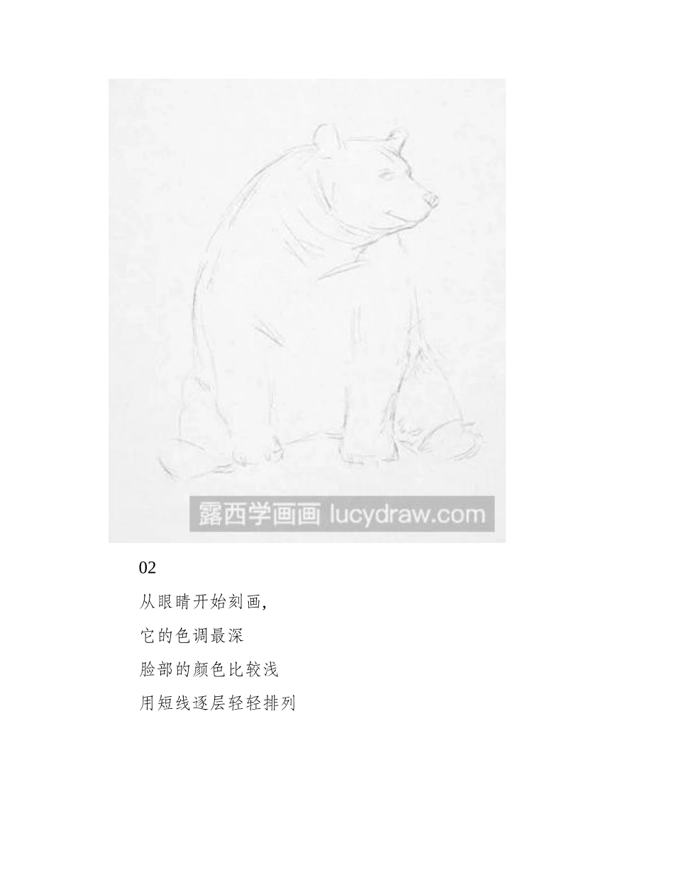 速写教程：教你画大棕熊速写教程_第2页