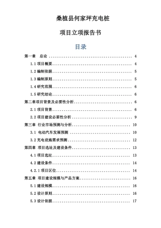 桑植县充电桩项目立项申报书