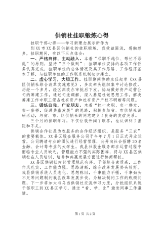 供销社挂职锻炼心得