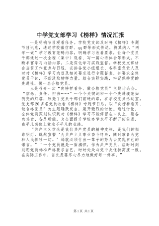 中学党支部学习《榜样》情况汇报