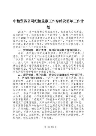 中粮贸易公司纪检监察工作总结及明年工作计划 (2)