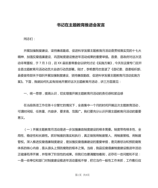 书记在主题教育推进会发言 