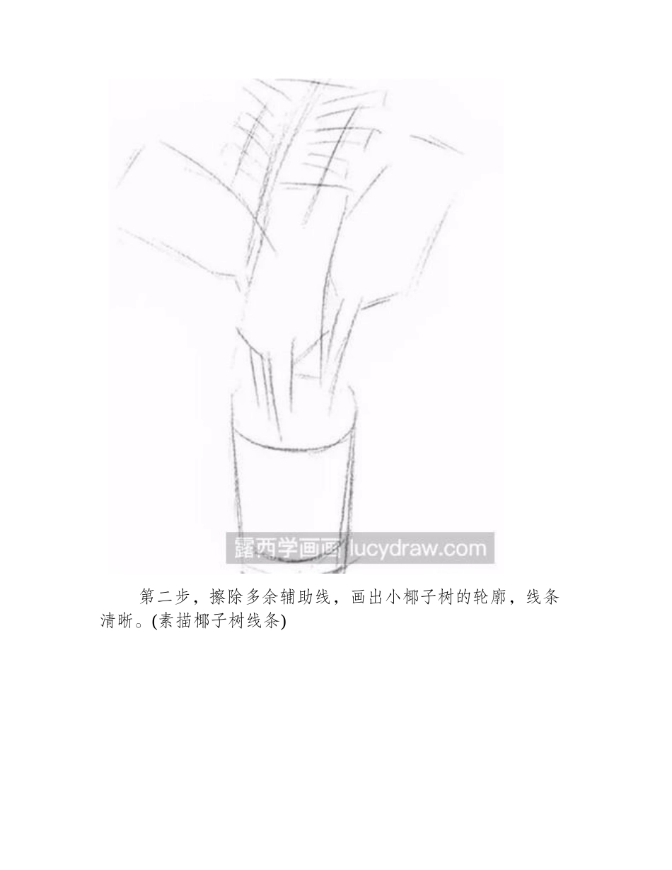 素描教程之如何画盆栽素描教程_第2页