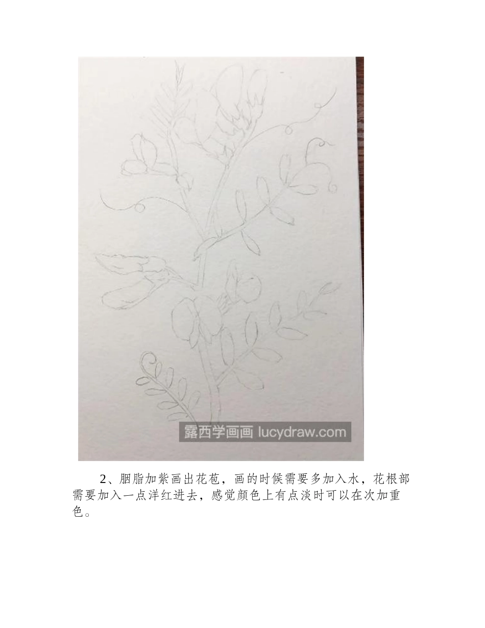 豌豆花怎么画_简单的水彩步骤有几步_水彩画教程_第2页