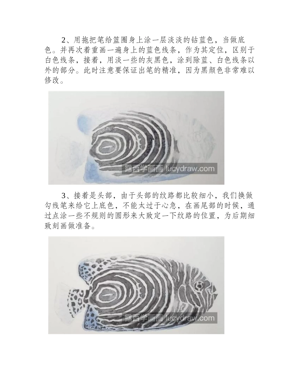 天使鱼怎么画_超级详细的水彩画步骤详解水彩画教程_第2页