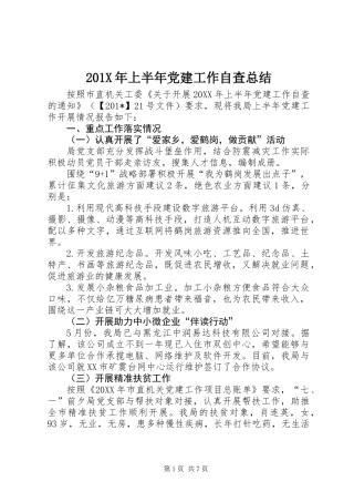 201X年上半年党建工作自查总结