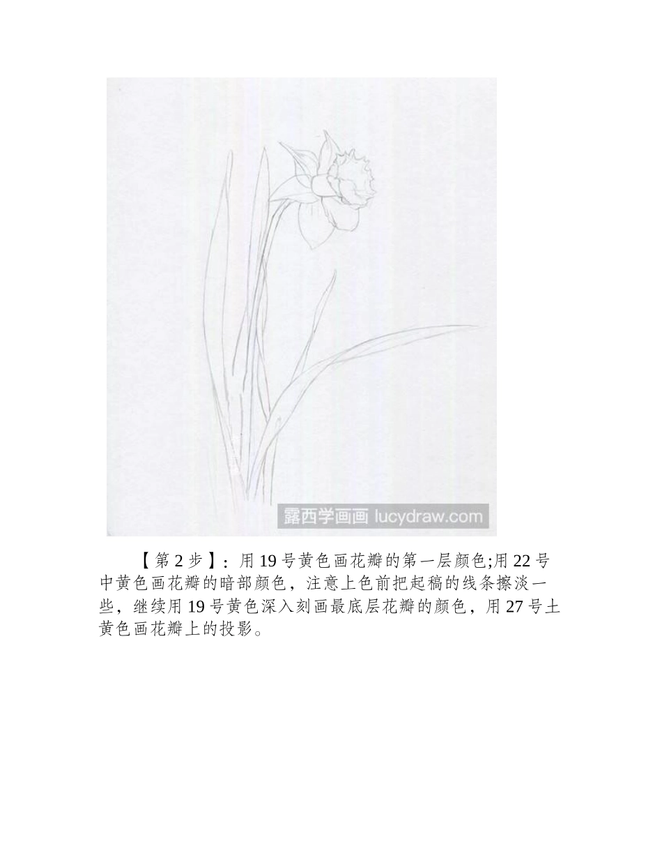 水仙花彩铅教程彩铅画教程_第2页