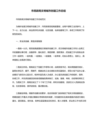 市民政局文明城市创建工作总结 
