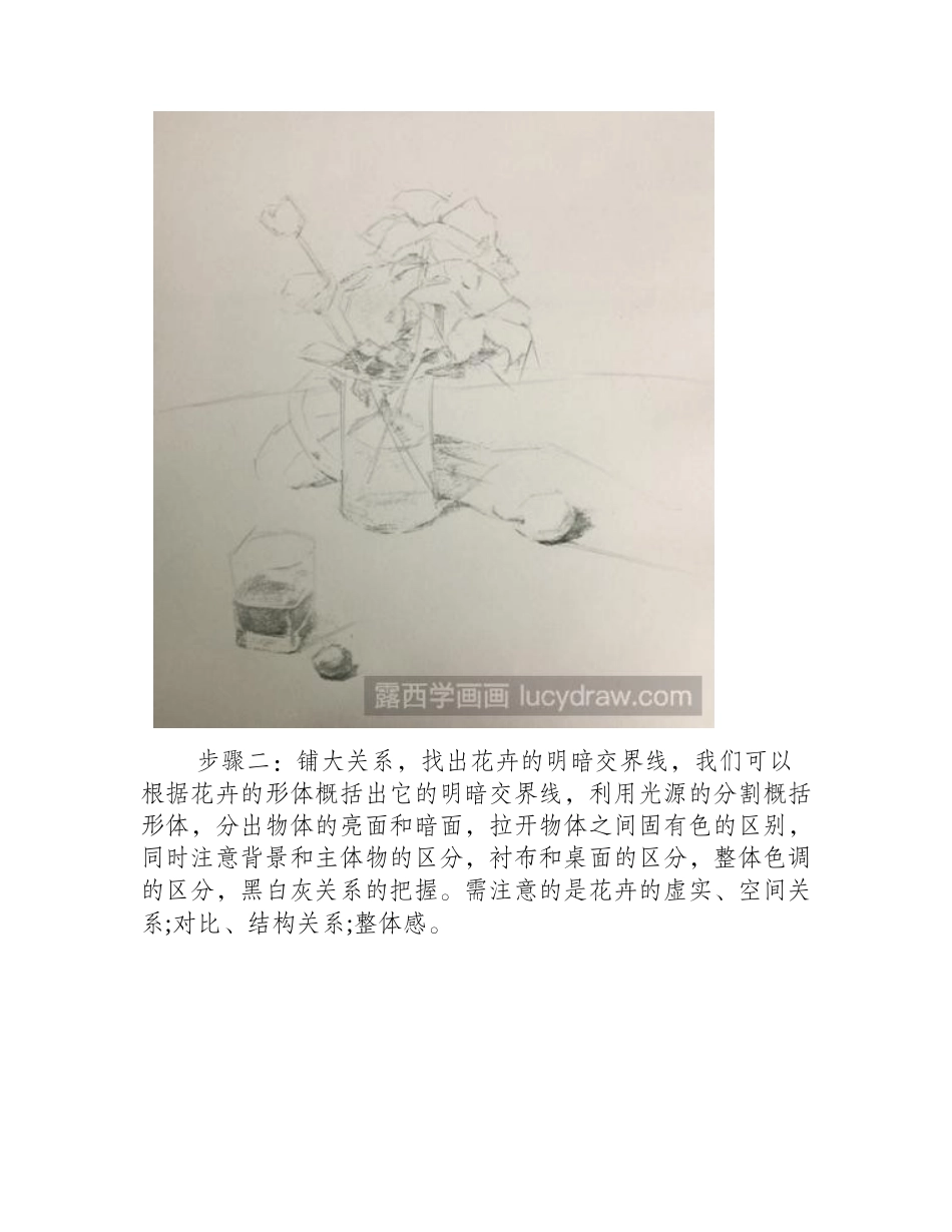 素描教程：静物花卉教程素描教程_第2页