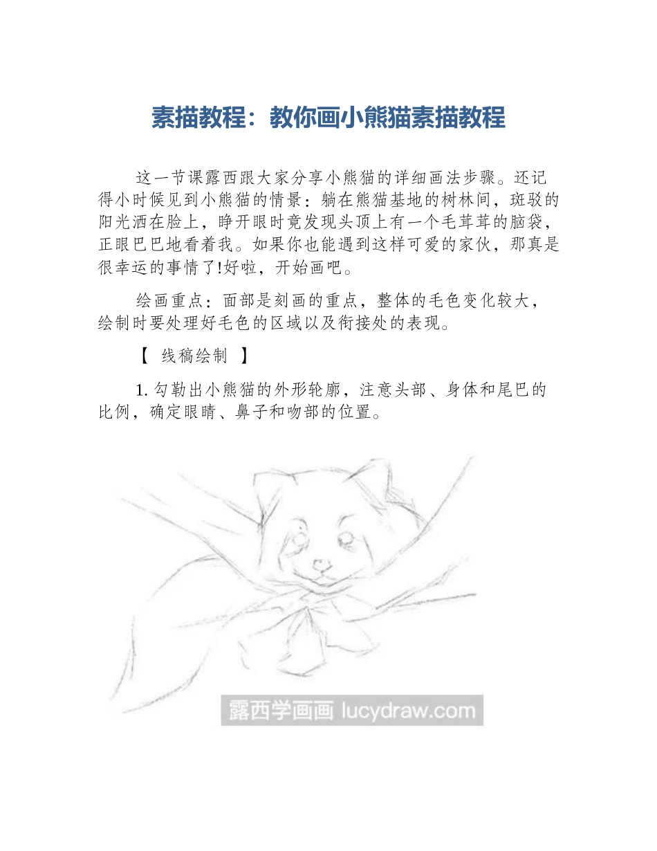 素描教程：教你画小熊猫素描教程_第1页