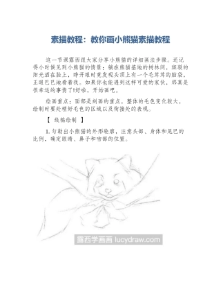 素描教程：教你画小熊猫素描教程