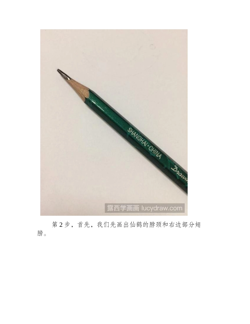 仙鹤简笔画教程简笔画教程1_第2页