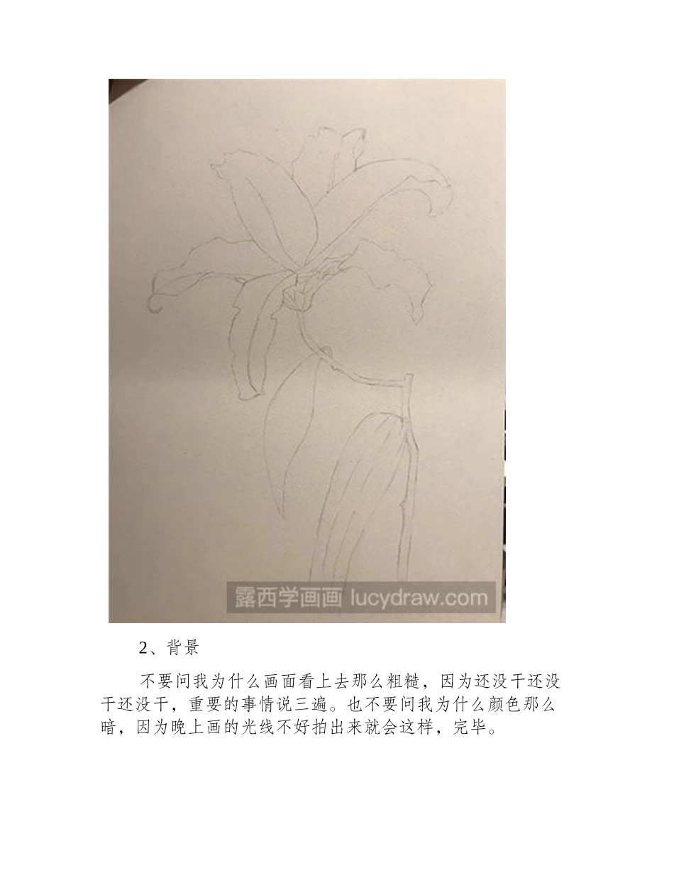 水彩画教程：教你画百合花水彩画教程_第2页