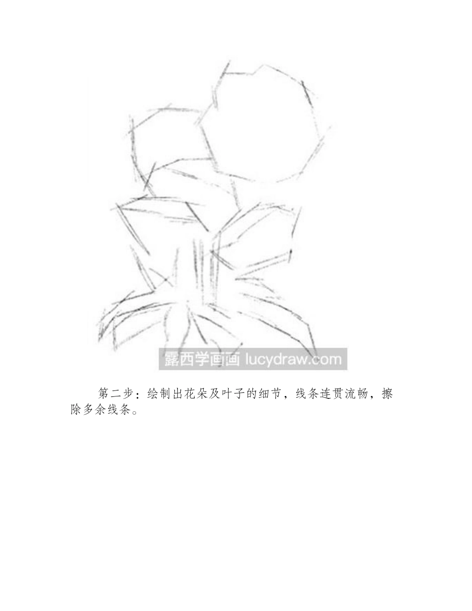 水粉画教程：怎么画绿绒蒿水粉画教程_第2页