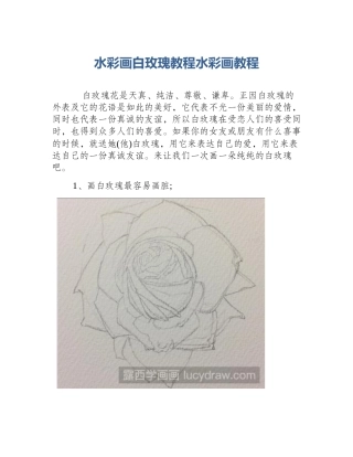水彩画白玫瑰教程水彩画教程