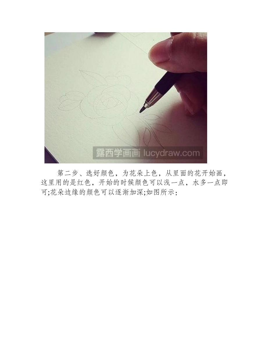 水彩画教程：教你画花卉水彩画教程_第2页