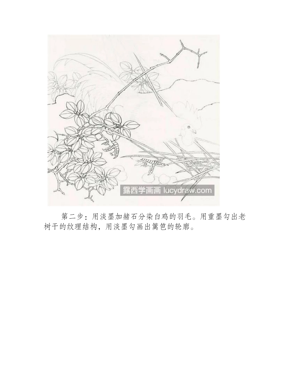 器宇轩昂的公鸡怎么画_雄鸡工笔画步骤有几步_工笔画教程_第2页