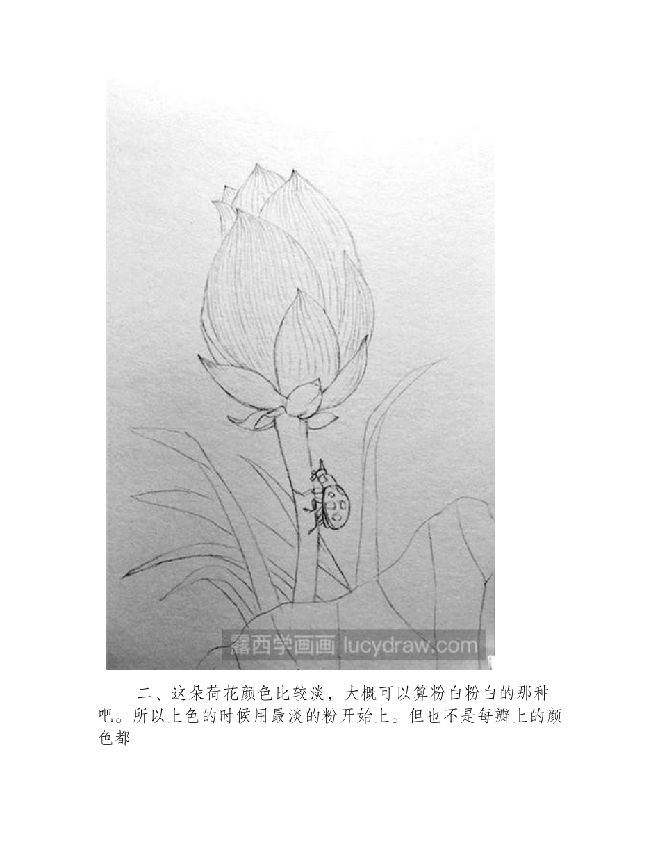 失落谷里的瓢虫彩铅画教程_第2页