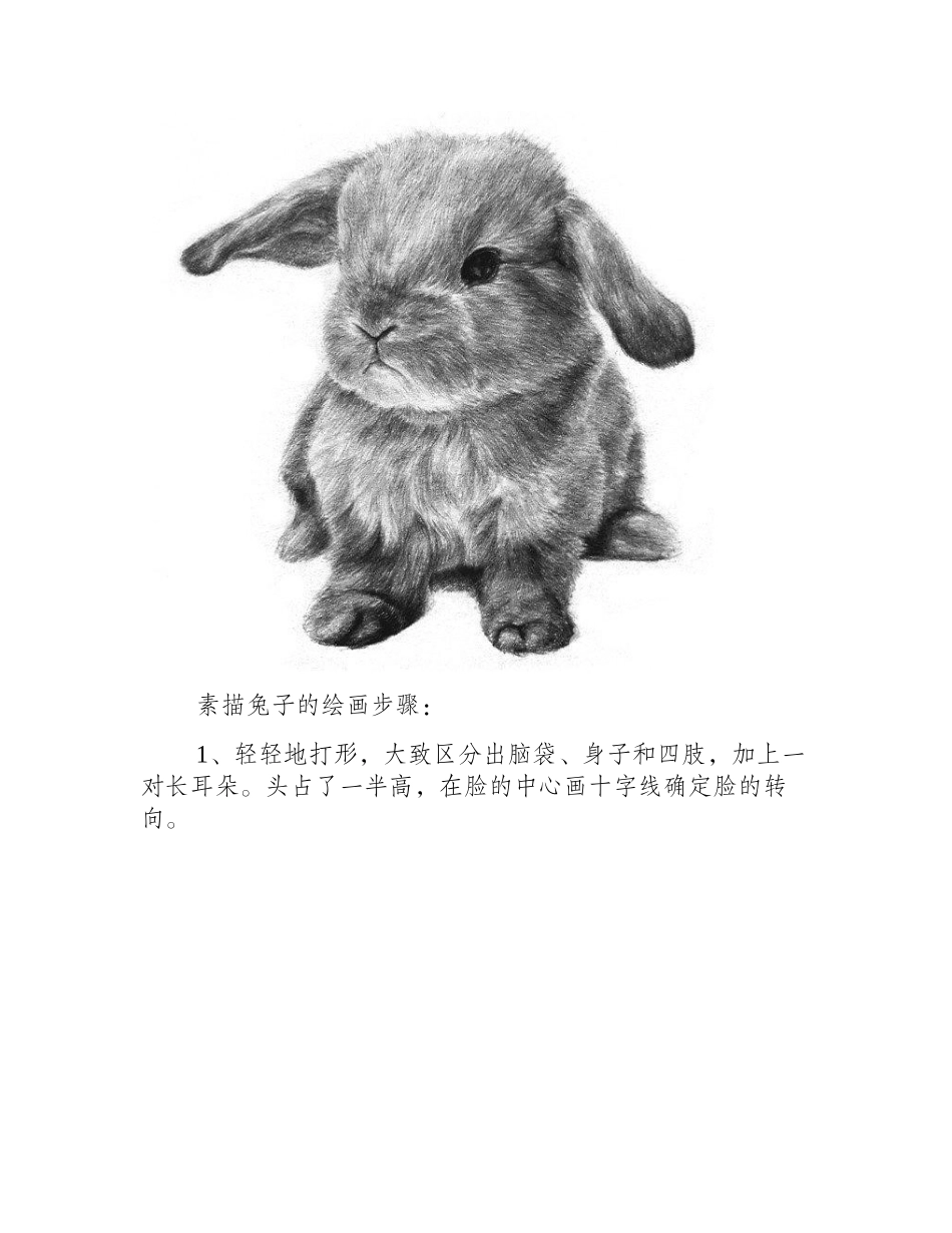 兔子的素描画法素描教程1_第2页