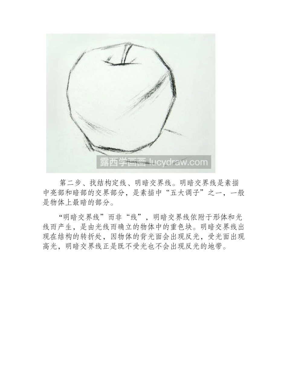 素描教程：教你苹果的明暗画法素描教程_第2页